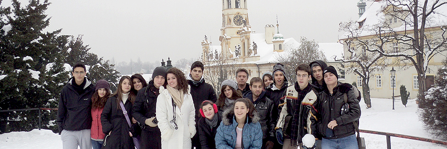 Banner 3