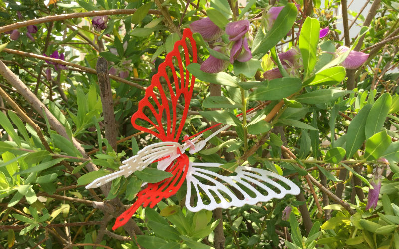 EXPLORING SCIENCE IN ENGLISH: THE LIFE CYCLE OF A BUTTERFLY