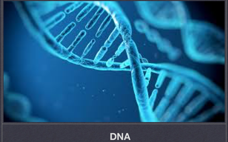 ANALYZING DNA
