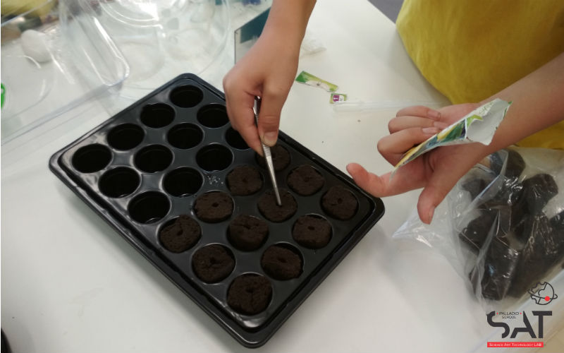 STEM: HYDROPONICS