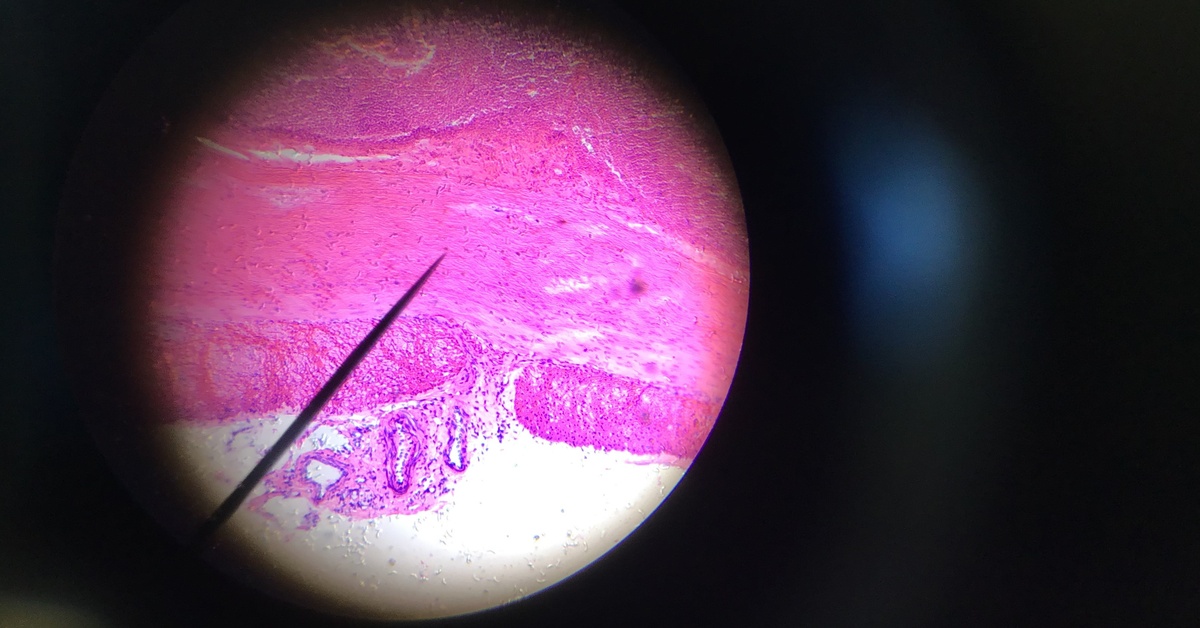 biology1_1200x628