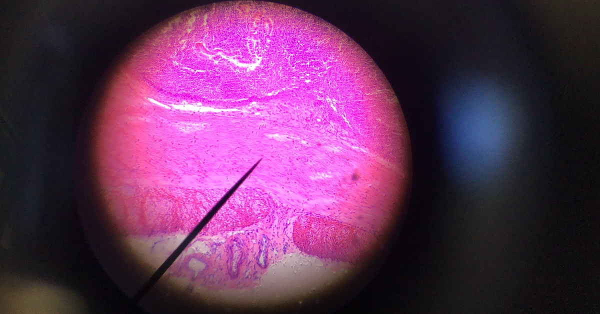 biology6_1200x628